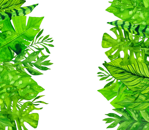 Acquerello cornice foglie tropicali su sfondo bianco
 - Foto, immagini