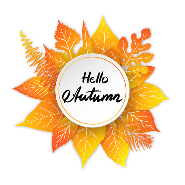 Colorful autumn leaves frame on white background - Vector, Image