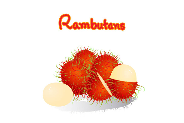 Рамбуан – плід Асеа. Має солодкий смак. Червоні фрукти. Зроблено, щоб зробити десерти. - Вектор, зображення