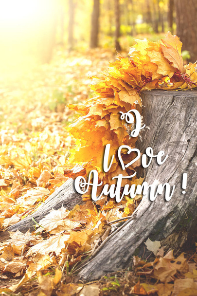 Ahornblätter auf Baumschnitt. Herbstliches Hintergrundkonzept.  - Foto, Bild