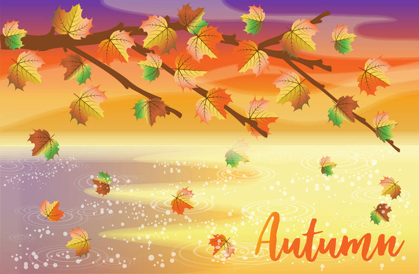 Akçaağaç yaprakları ile sonbahar tebrik banner, vektör illüstrasyon - Vektör, Görsel