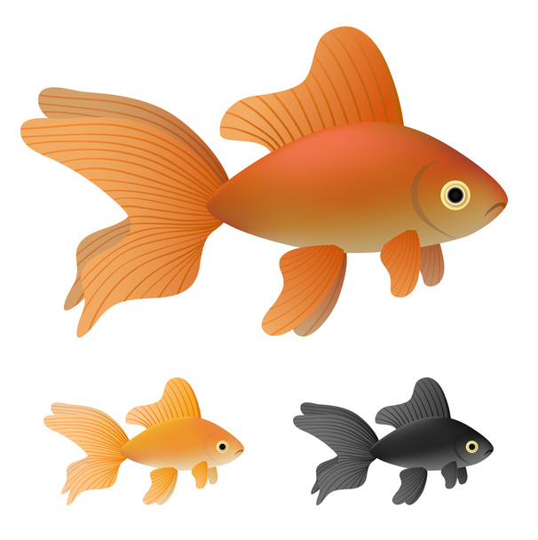 Set di pesci rossi
 - Vettoriali, immagini