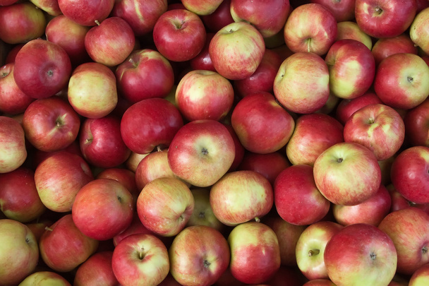 "Яблоки Джареда
 - Фото, изображение