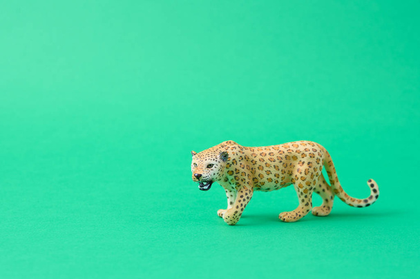 leopard toy isolated in green background - Photo, Image