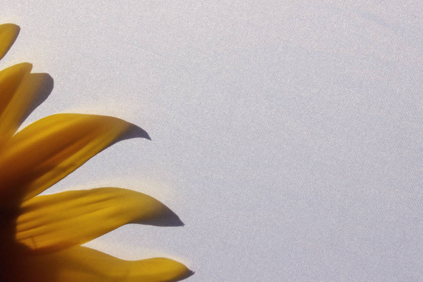 verschwommenes Bild der gelben Blume. abstrakte Natur Hintergrund. abgeschnittener Sonnenblumenschuss. zartes Blumenmuster mit hellgelber Sonnenblume hinter Textil. - Foto, Bild