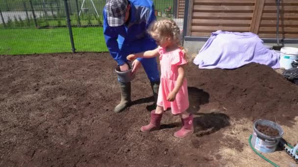 daughter helping father with lawn grass seeding sow in townhouse yard. Handheld - Footage, Video