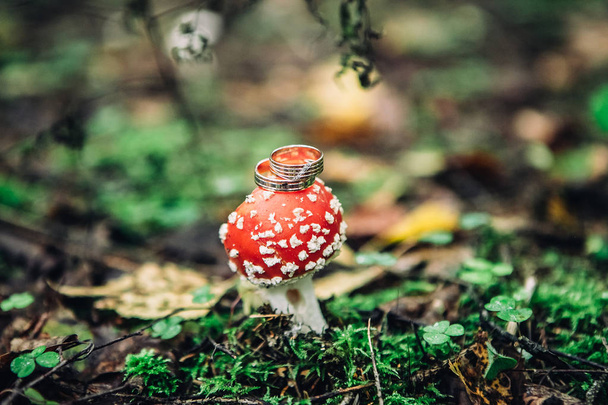 Close-up van twee mooie gouden ringen liggen op een hoed van een rode gevlekte paddenstoel op een wazig bos achtergrond, selectieve focus - Foto, afbeelding