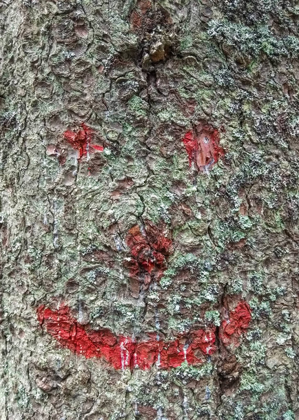 Smiley arc a kéreg egy fa. - Fotó, kép