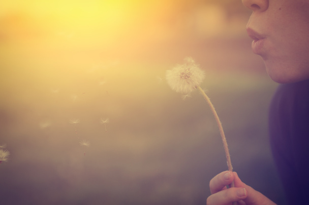 Girl blowing on white dandelion - Photo, Image