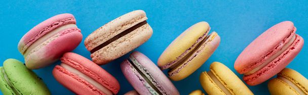 top view of delicious assorted French macaroons on blue bright background, panoramic shot - 写真・画像