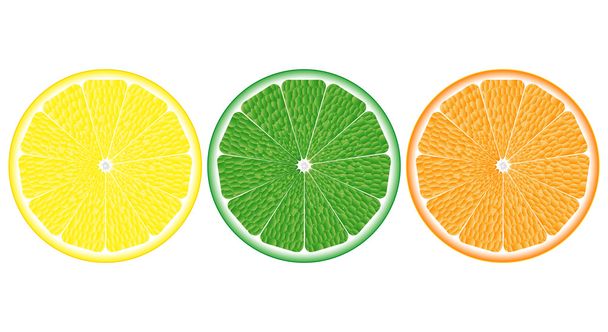 pomeranč, citron, limeta zblízka - Vektor, obrázek