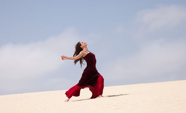 Flamenco in the dunes - Fotografie, Obrázek