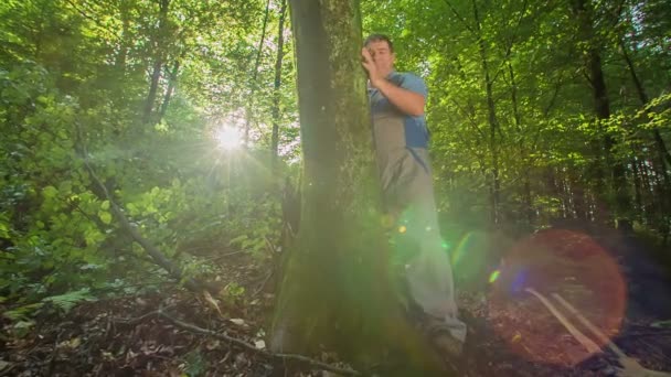 Komik Forester sadece onu sakin özel sesler duymak yosunlu ağaç gövde üzerinde çalıyor. Güzel bir güneş patlaması olağanüstü çevreyi aydınlatıyor. - Video, Çekim