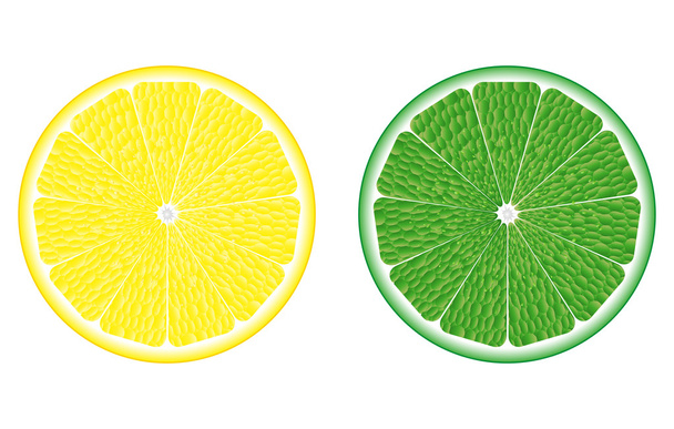 vápno a citronem - Vektor, obrázek