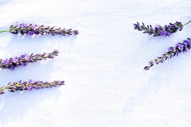 Lavendel auf weißem Leinen - Foto, Bild