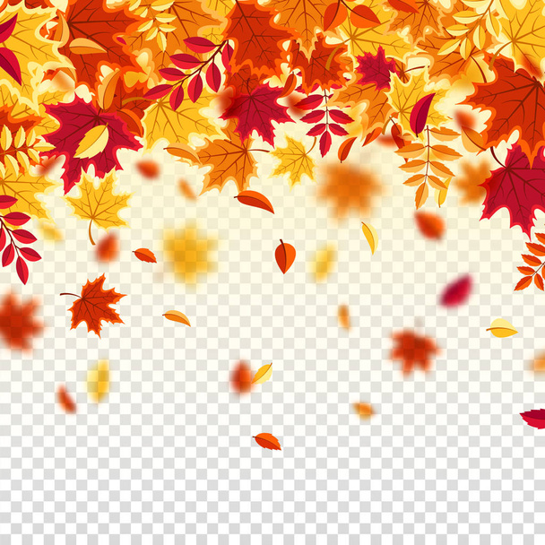 Podzimní listí. Přírodní pozadí s červeným, oranžovým, žlutým listím. Létající list. Season sale. Vektorová ilustrace. - Vektor, obrázek