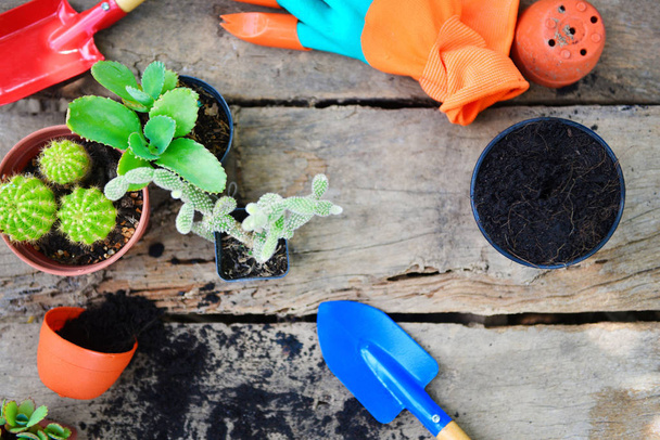 Tuinieren tools op houten achtergrond klaar voor het planten van kleine Pla - Foto, afbeelding