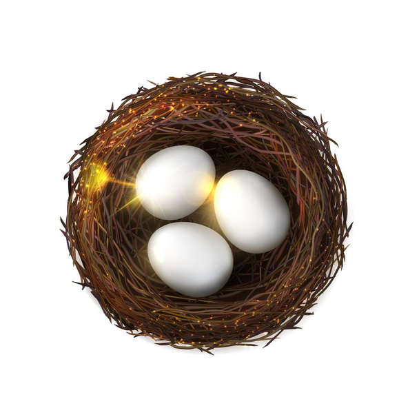 Eggs, bird nest. Poultry embryo, isolated birdnest - Vector, Image