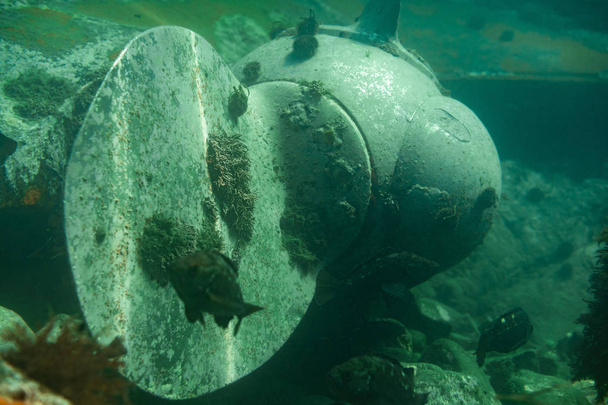Mergulho e fotografia subaquática, o navio submerso jaz no fundo do oceano
. - Foto, Imagem