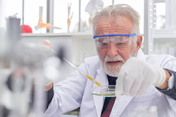 Wetenschapper Senior een testmonster chemische glasplaat in laboratorium - Foto, afbeelding