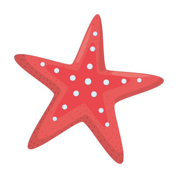 Isolé océan étoile de mer design
 - Vecteur, image