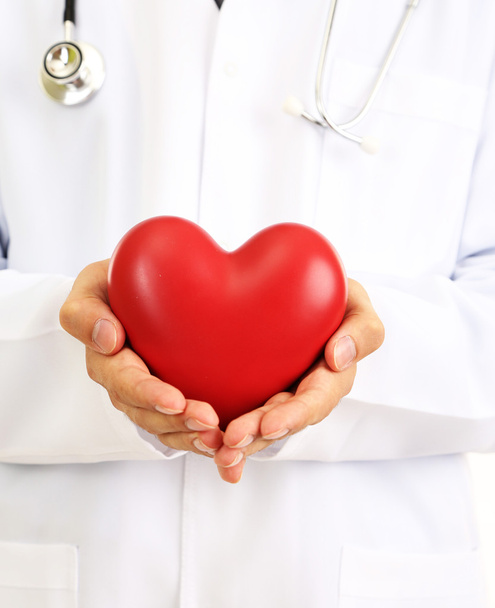Medical doctor holding heart - 写真・画像