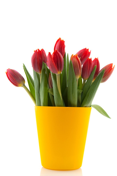 Modern bouquet tulips - Fotoğraf, Görsel