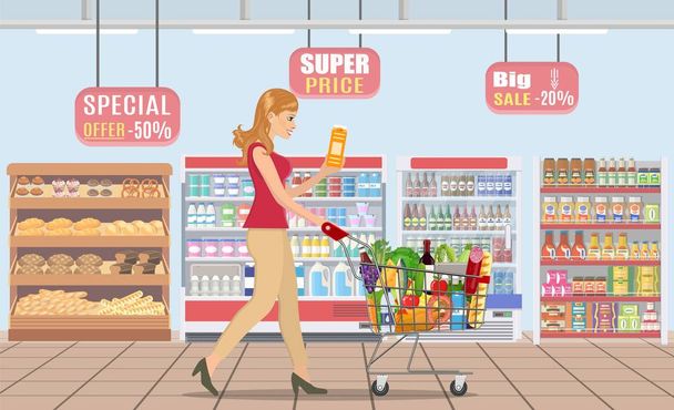 Young woman shopping for groceries - Vector, Image