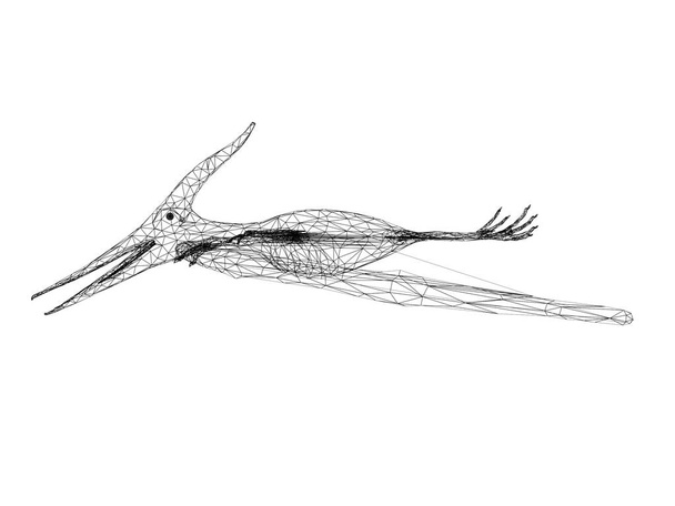 Pterosaur  dinosaurs  ,3d rendering wire frame - Фото, зображення