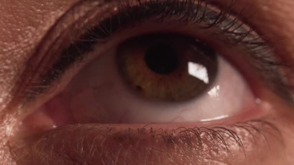 Womans oko makijaż ekstremalne zbliżenie 2 - Materiał filmowy, wideo