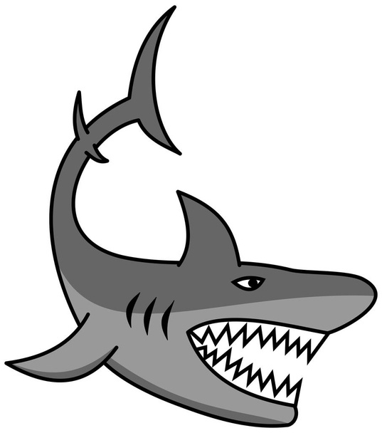 A great shark with open jaw and sharp teeth - Vector, Image