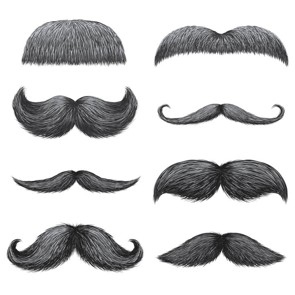 Different styles of male realistic mustaches set. Chevron, Dali, english, handlebar, imperial, lampshade, painter brush, classic relaxed, thick thin man mustaches isolated. - Vektor, Bild