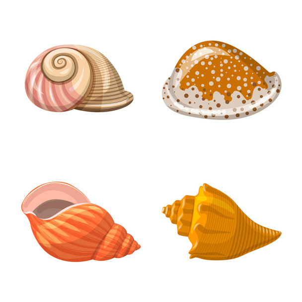 Vector design of seashell and mollusk sign. Collection of seashell and seafood stock symbol for web. - Вектор,изображение