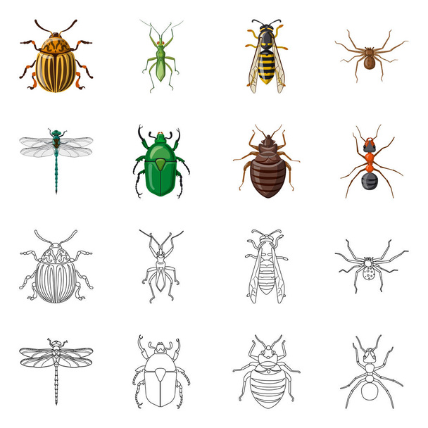 Vektorová design hmyzu a překrýt symbolu. Sada hmyzu a prvek vektorové ilustrace. - Vektor, obrázek
