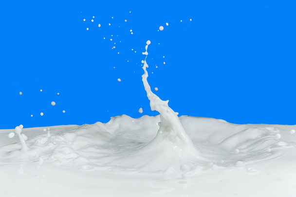 Süt Sıçratma - Fotoğraf, Görsel
