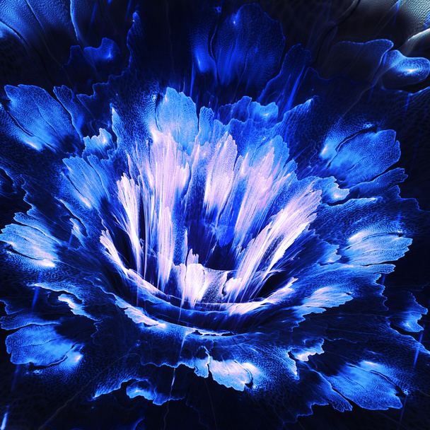 Flor fractal abstracta - Foto, imagen