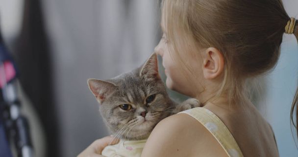 Кот лежит у девушек на плече
 - Фото, изображение
