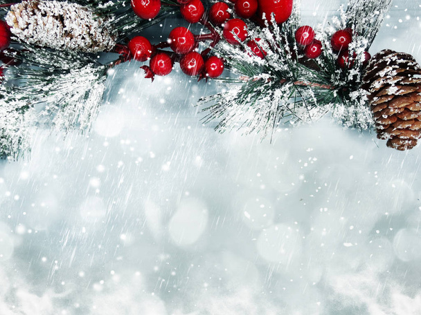 joulukuusi kuusen oksa käpyjä talven marjoja lumessa
 - Valokuva, kuva