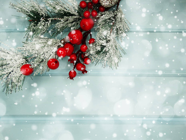 branche de sapin de Noël avec cônes baies d'hiver dans la neige
 - Photo, image