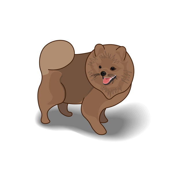 Ilustración vectorial de un perro esponjoso aislado sobre fondo blanco. Este lindo perro de dibujos animados se parece a un Pomeranian Spitz
 - Vector, imagen