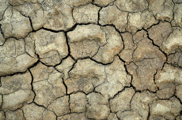 száraz repedt talajszerkezet - Fotó, kép