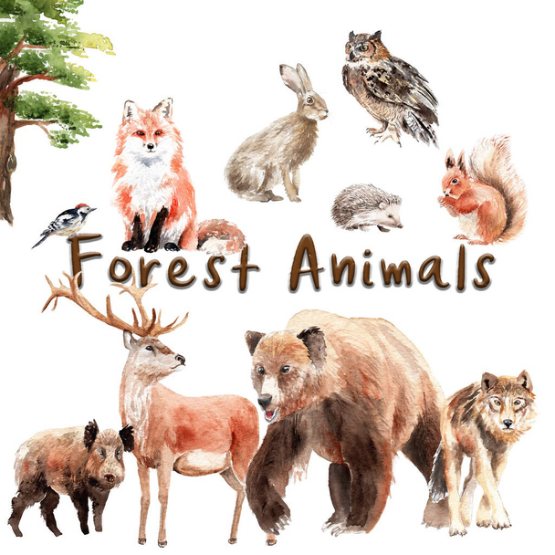 akvarell készlet erdei állatok: akvarell meg az erdei állatok: medve, farkas, róka, nyúl, bagoly, vadkan, szarvas - Fotó, kép