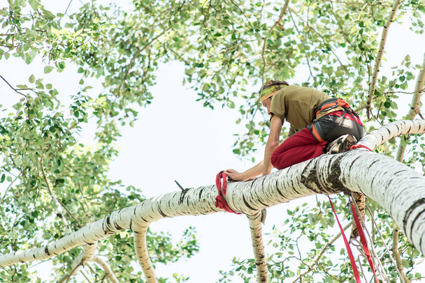 Ο άνθρωπος σκαρφαλώνει σε ένα δέντρο και το θεραπεύει, το περιβάλλον και την οικολογία. - Φωτογραφία, εικόνα