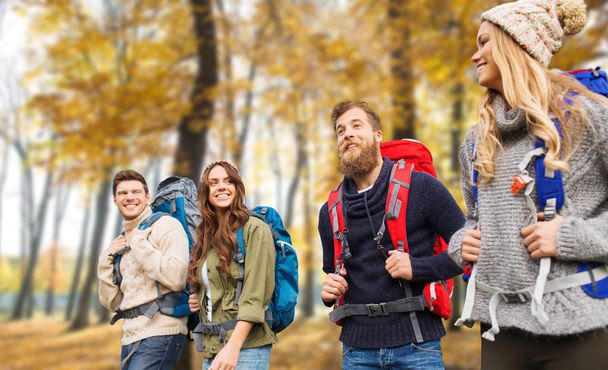 friends with backpacks hiking in autumn - 写真・画像