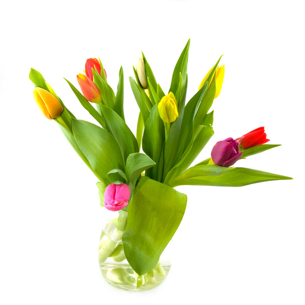 Glass vase with tulips - 写真・画像