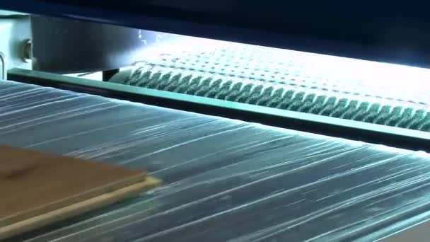 Laminated floor production line. - Footage, Video