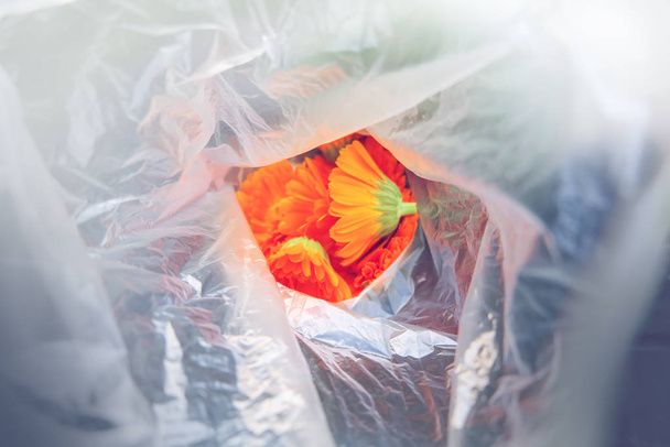 Fiori di calendula arancione appena raccolti in un sacchetto di plastica
 - Foto, immagini