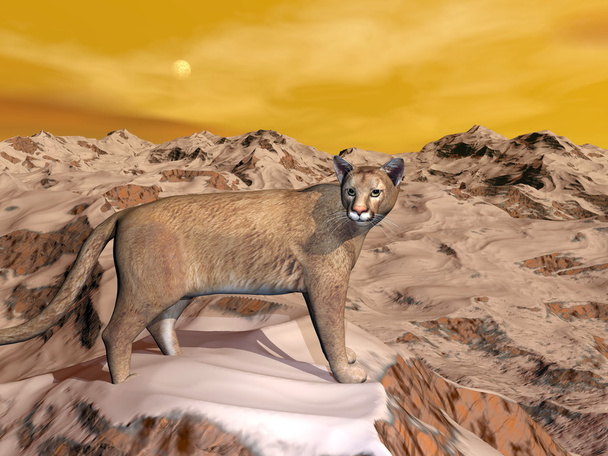 Cougar en la montaña - 3D render
 - Foto, imagen
