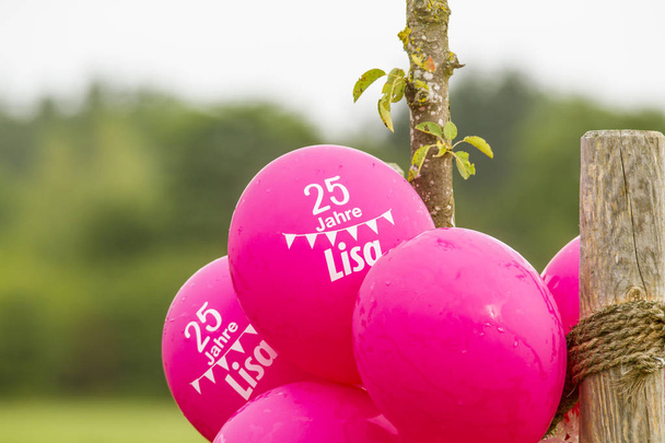 Alman çayırında pembe renkli balonlar 25 yıllık Lisa metni. - Fotoğraf, Görsel