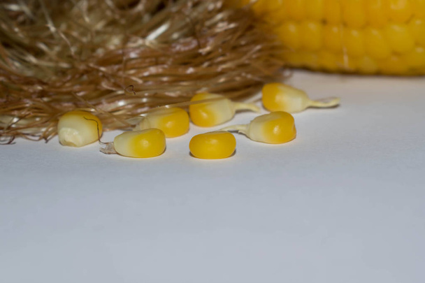 Corn stigmas of ripe yellow corn on reduced background for design - Photo, Image